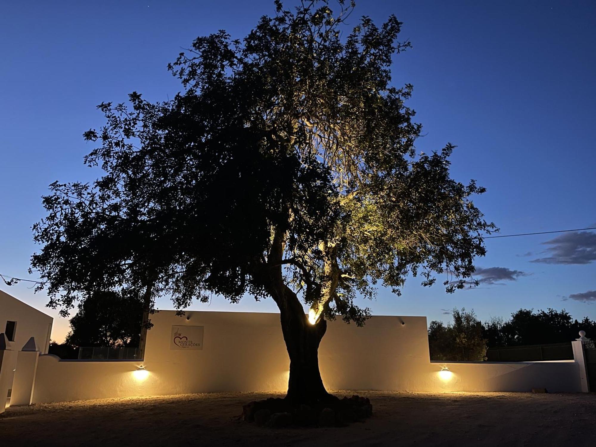 Monte Geracoes - Heated Pool - Typical Algarvian - Close To Quinta Lago, Vale Lobo And Vilamoura Almancil Eksteriør bilde